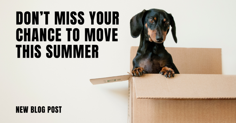 Don’t Miss Your Chance to Move This Summer